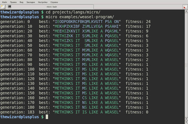 Weasel program
